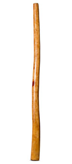 Gloss Finish Didgeridoo (TW1438)